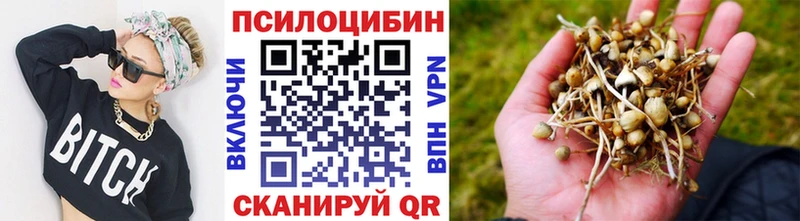 Псилоцибиновые грибы GOLDEN TEACHER  Сафоново 