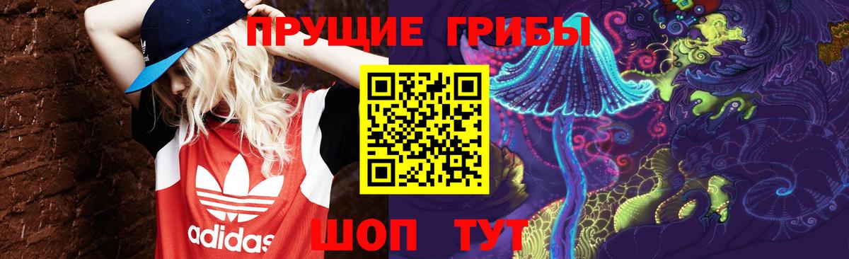 Псилоцибиновые грибы ЛСД  Псилоцибиновые грибы мухоморы  Сафоново  Вход с VPN 